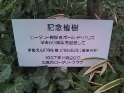 phtree